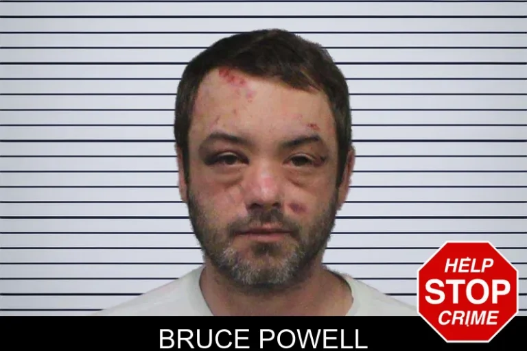 Bruce Powell mugshot – White County , Georgia Bruce Powell