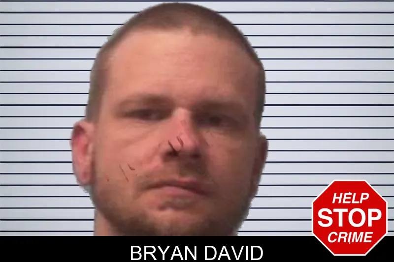 Bryan David mugshot