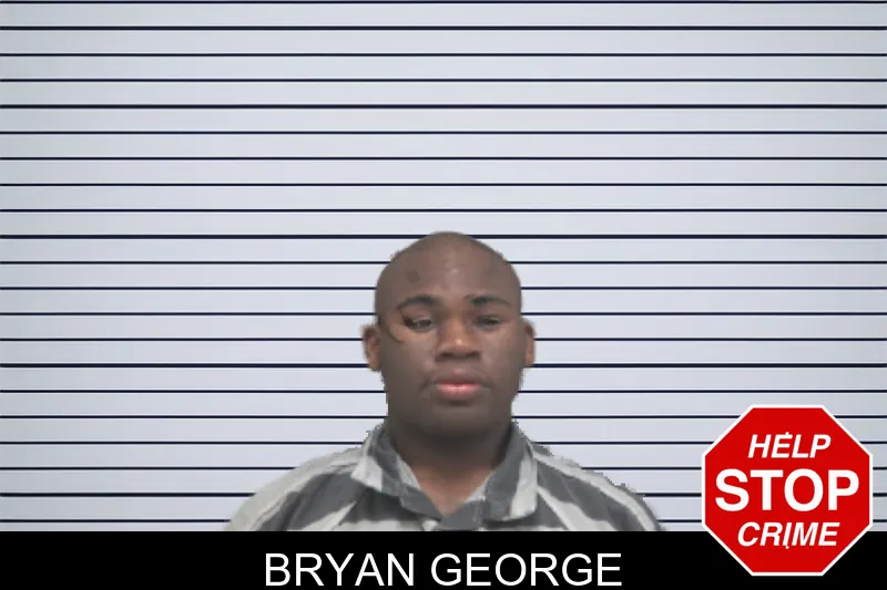 Bryan George mugshot – Dougherty County , Georgia Bryan George mugshot