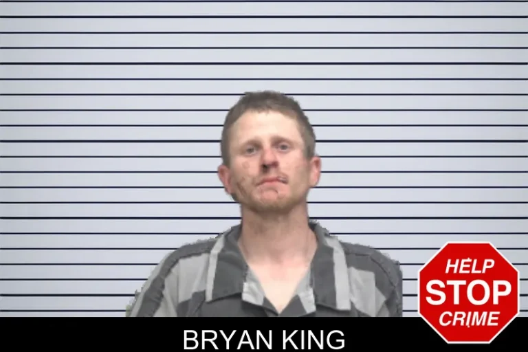 Bryan King
