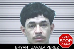 Bryant Zavala Perez mugshot