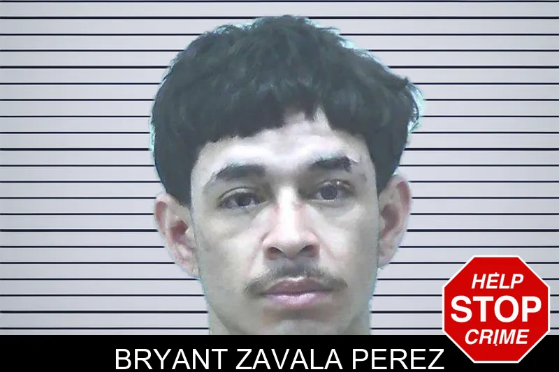 Bryant Zavala Perez mugshot