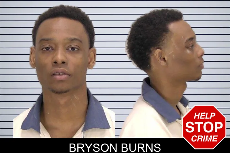 Bryson Burns mugshot