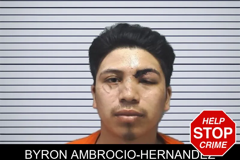 Byron Ambrocio-Hernandez mugshot