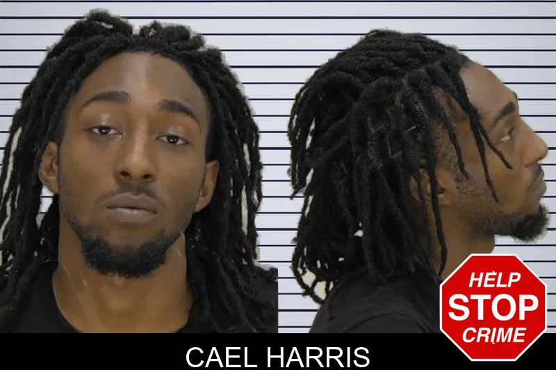 Cael Harris mugshot