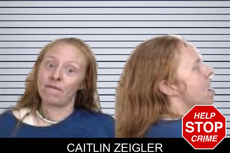 Caitlin Zeigler mugshot – Camden County , Georgia Caitlin Zeigler mugshot