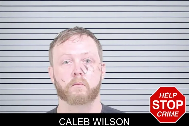 Caleb Wilson mugshot – Lowndes County , Georgia Caleb Wilson
