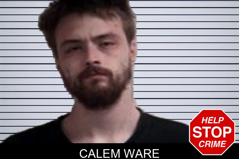 Calem Ware mugshot