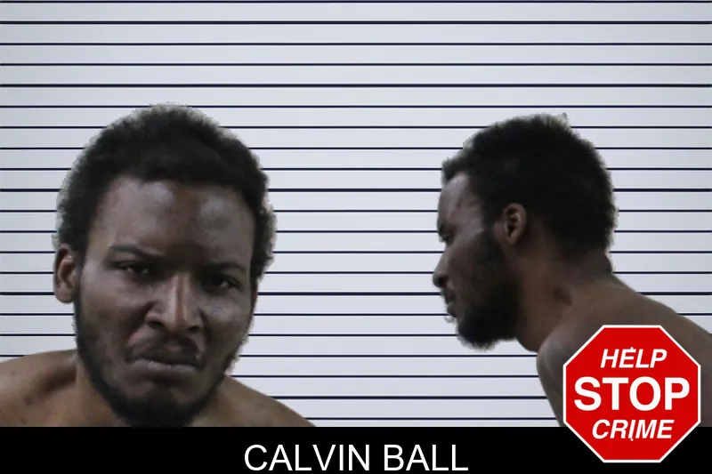 Calvin Ball mugshot – Houston County , Georgia Calvin Ball mugshot