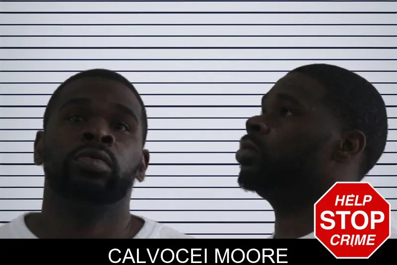Calvocei Moore mugshot – Houston County , Georgia Calvocei Moore mugshot