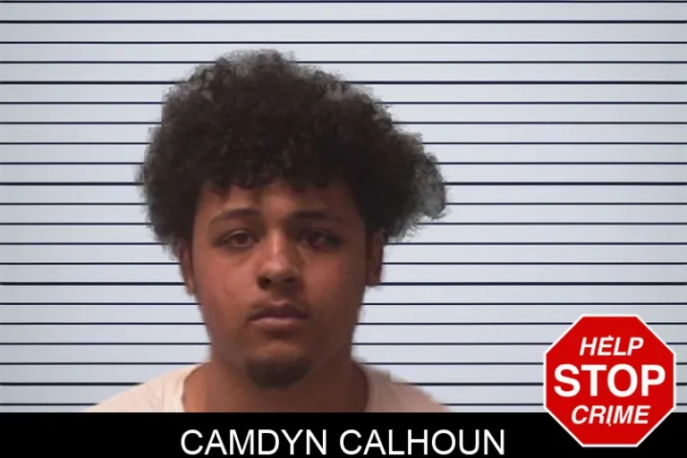 Camdyn Calhoun mugshot – Franklin County , Georgia Camdyn Calhoun