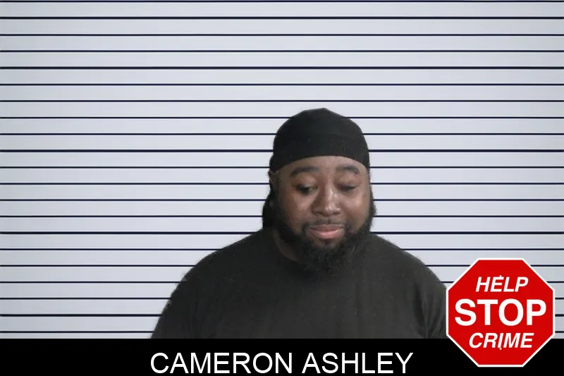 Cameron Ashley mugshot – Twiggs County , Georgia Cameron Ashley mugshot