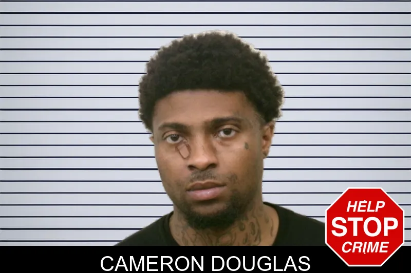 Cameron Douglas mugshot – Bulloch County , Georgia Cameron Douglas mugshot