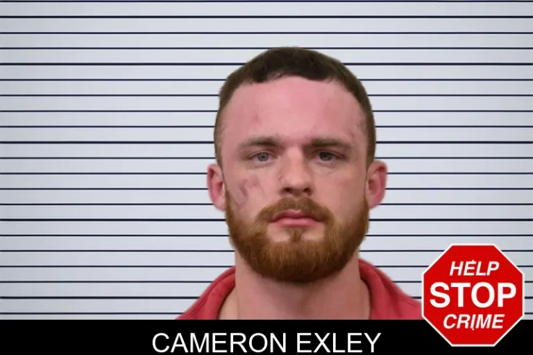 Cameron Exley mugshot – Bulloch County , Georgia Cameron Exley