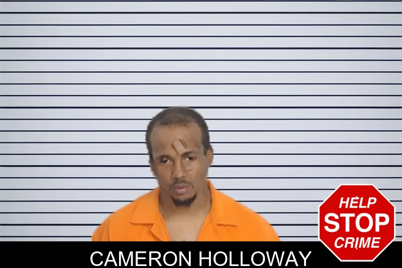 Cameron Holloway mugshot