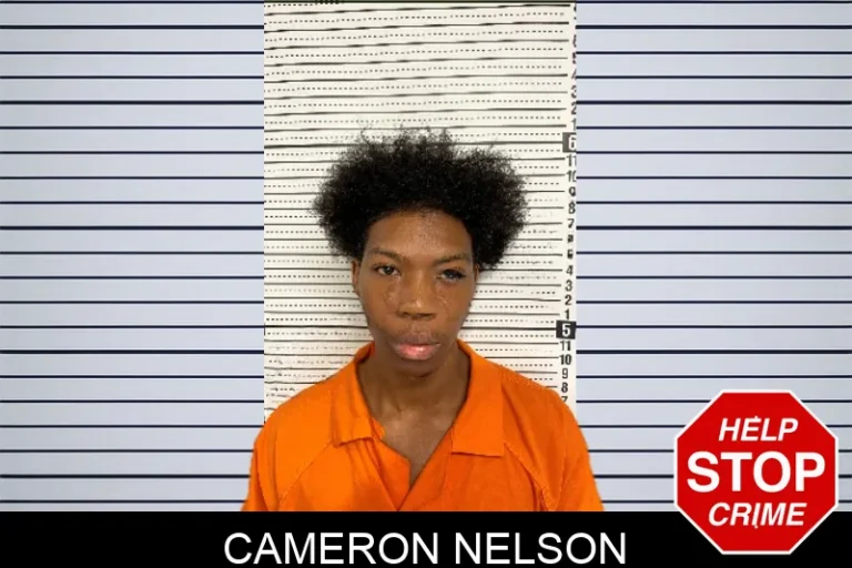 Cameron Nelson mugshot – Rockdale County , Georgia Cameron Nelson