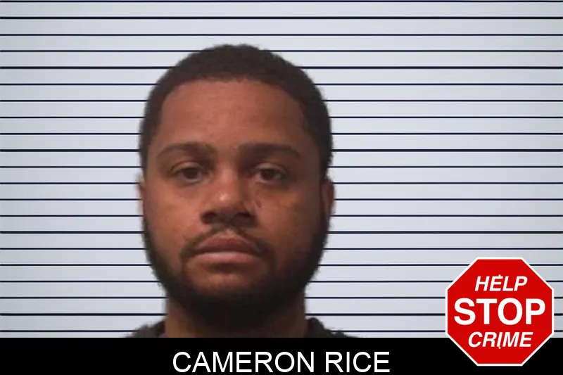 Cameron Rice mugshot – Franklin County , Georgia Cameron Rice mugshot