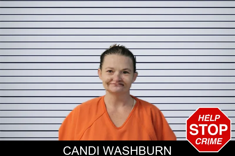 Candi Washburn mugshot