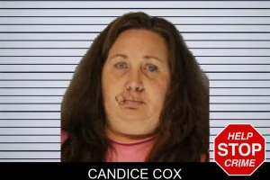 Candice Cox mugshot