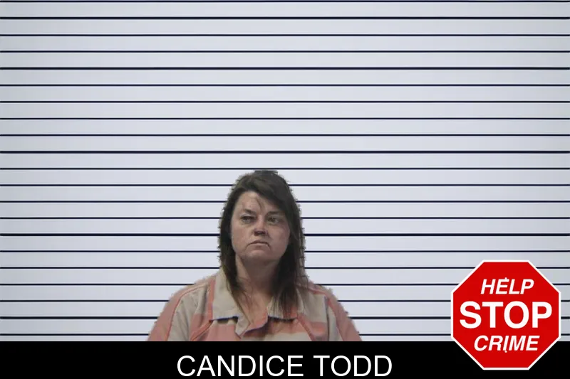 Candice Todd mugshot