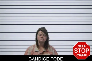 Candice Todd mugshot
