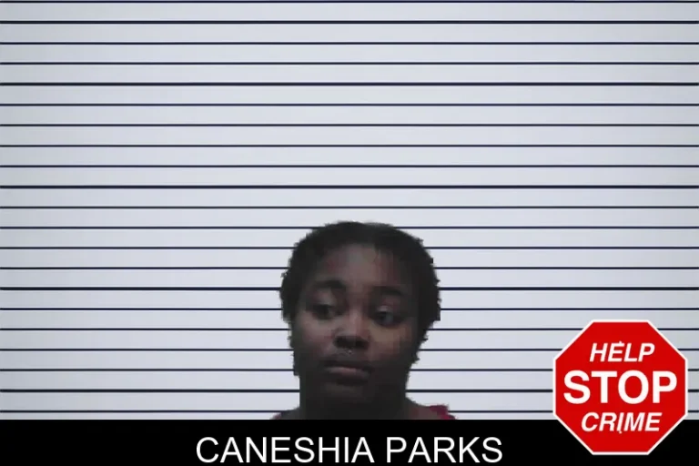 Caneshia Parks mugshot – Meriwether County , Georgia Caneshia Parks