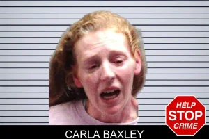 Carla Baxley mugshot