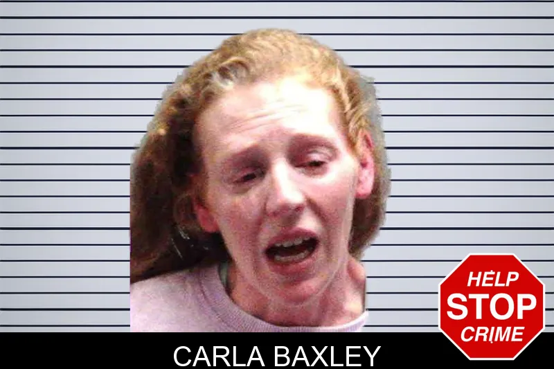 Carla Baxley mugshot – Burke County , Georgia Carla Baxley mugshot