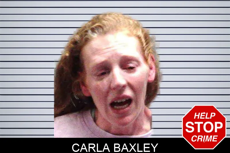Carla Baxley mugshot