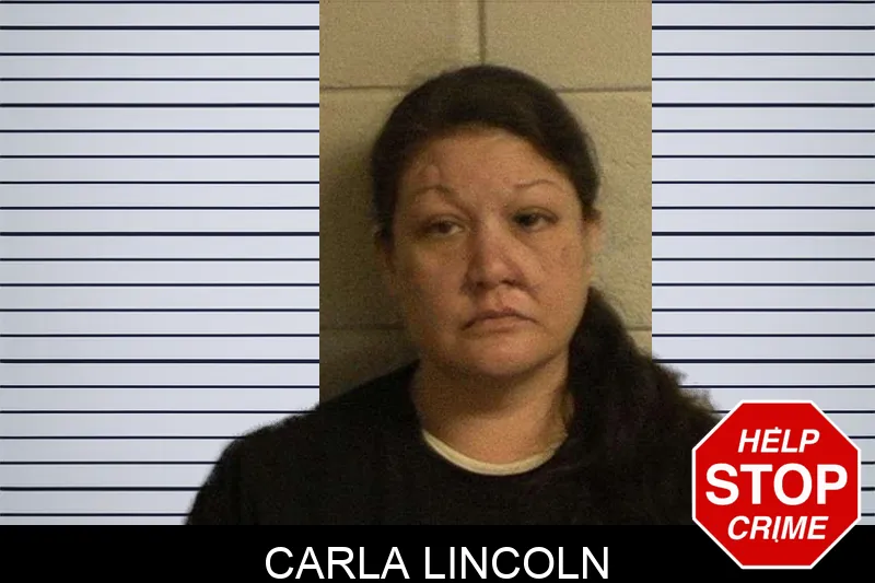 Carla Lincoln mugshot – Crawford County , Georgia Carla Lincoln mugshot