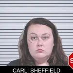Carli Sheffield mugshot