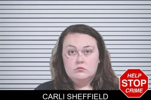 Carli Sheffield mugshot