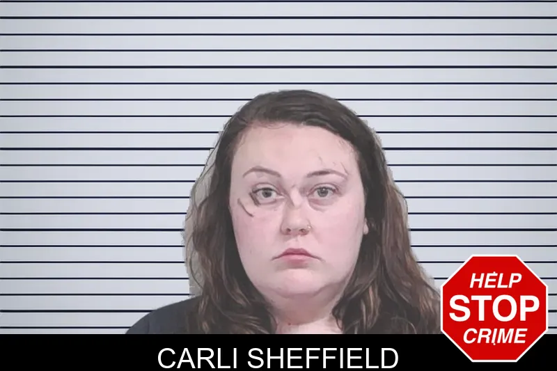 Carli Sheffield mugshot