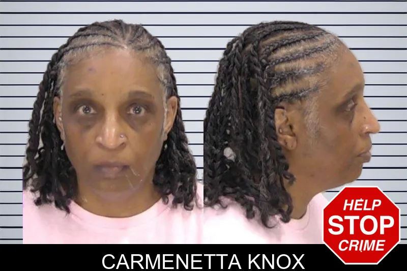 Carmenetta Knox mugshot