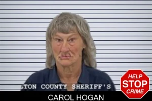 Carol Hogan mugshot