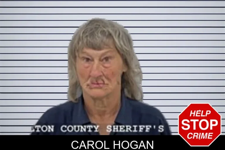 Carol Hogan