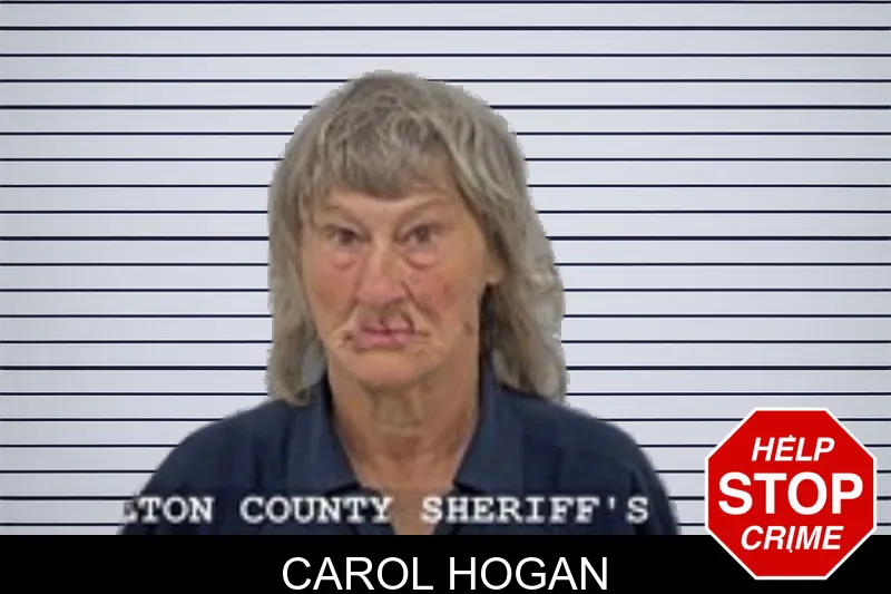 Carol Hogan mugshot