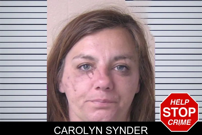 Carolyn Synder mugshot – Walker County , Georgia Carolyn Synder mugshot