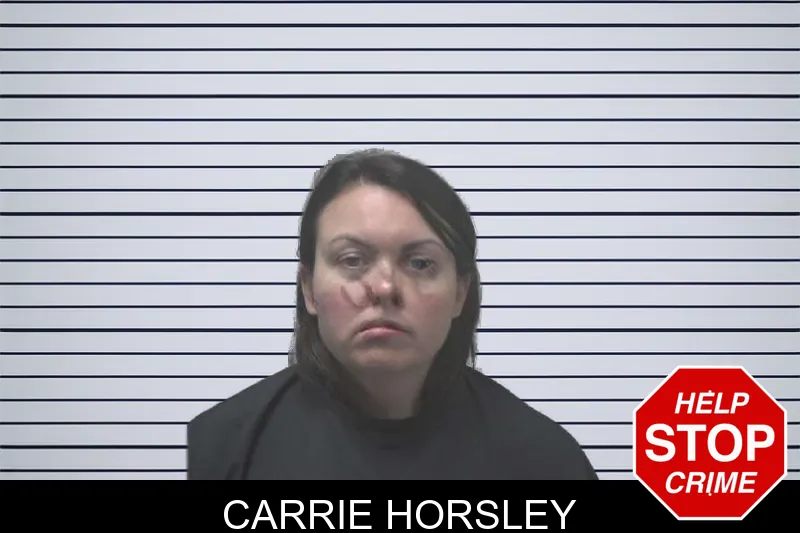 Carrie Horsley mugshot