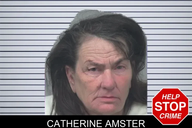 Catherine Amster mugshot – Gwinnett County , Georgia Catherine Amster