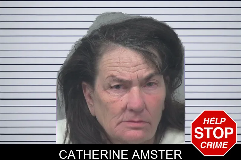Catherine Amster mugshot