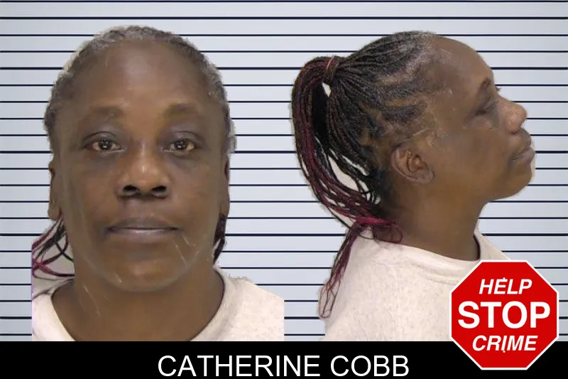 Catherine Cobb mugshot