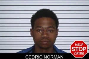 Cedric Norman mugshot