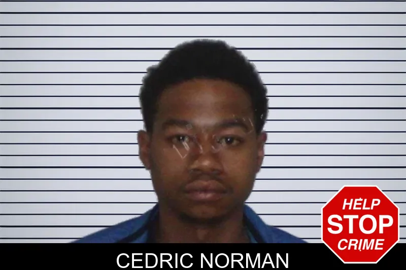 Cedric Norman mugshot