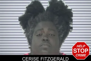 Cerise Fitzgerald mugshot