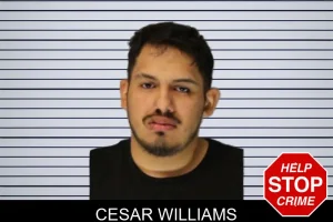 Cesar Williams mugshot