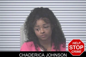 Chaderica Johnson mugshot