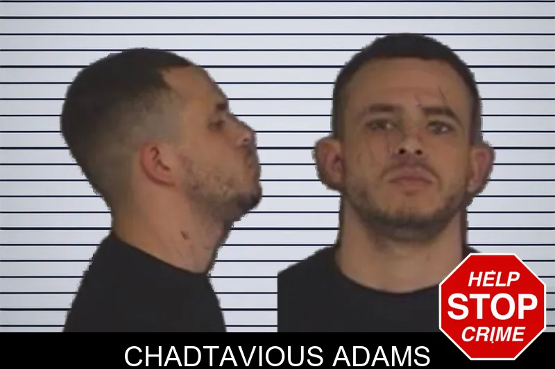 Chadtavious Adams mugshot