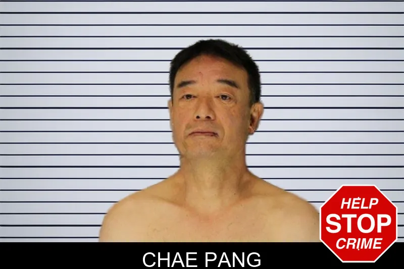 Chae Pang mugshot