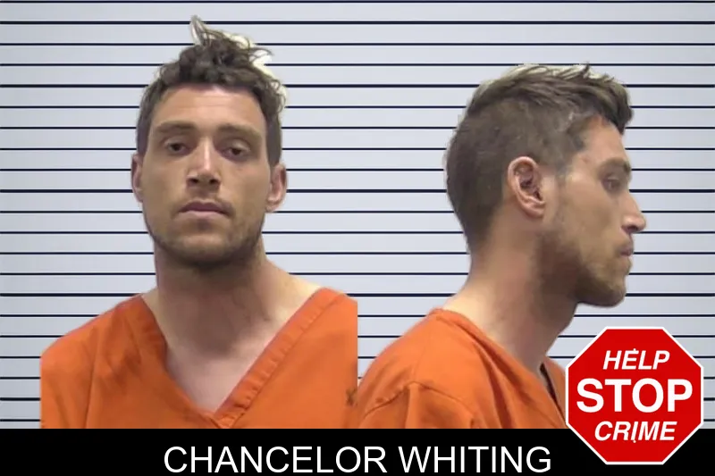 Chancelor Whiting mugshot